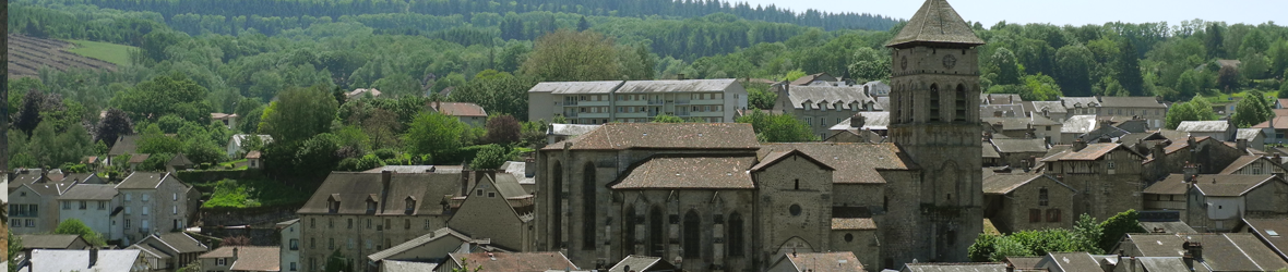 visuel collegiale